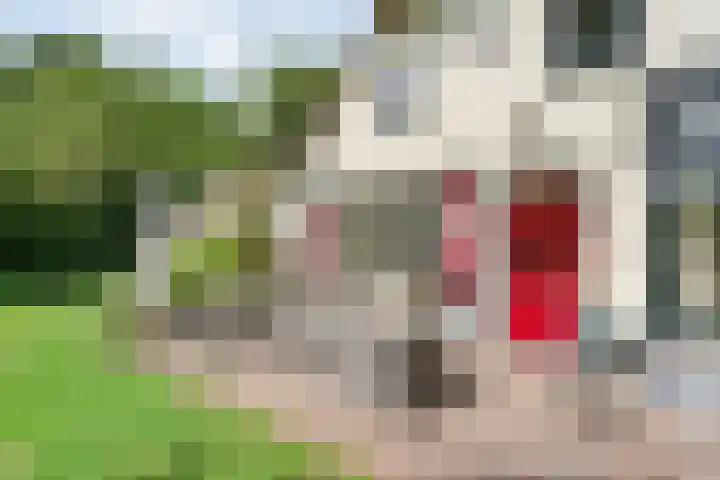 Hamveld 3 Wijster thumbnail 58