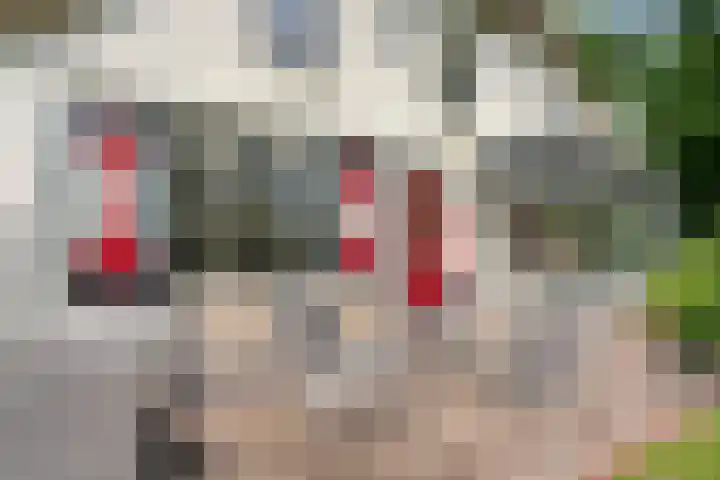 Hamveld 3 Wijster thumbnail 59
