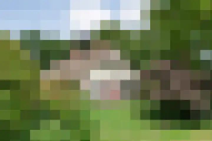 Hamveld 3 Wijster thumbnail 6