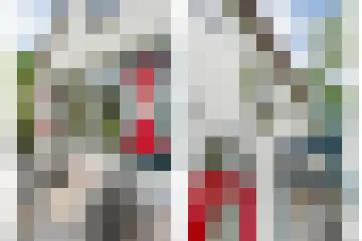 Hamveld 3 Wijster thumbnail 60