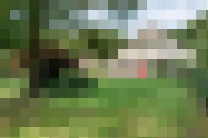 Hamveld 3 Wijster thumbnail 61