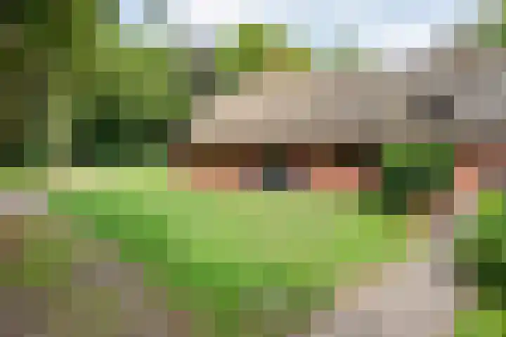 Hamveld 3 Wijster thumbnail 62