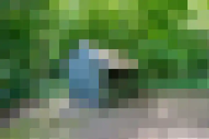 Hamveld 3 Wijster thumbnail 64