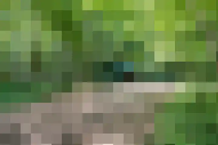 Hamveld 3 Wijster thumbnail 65