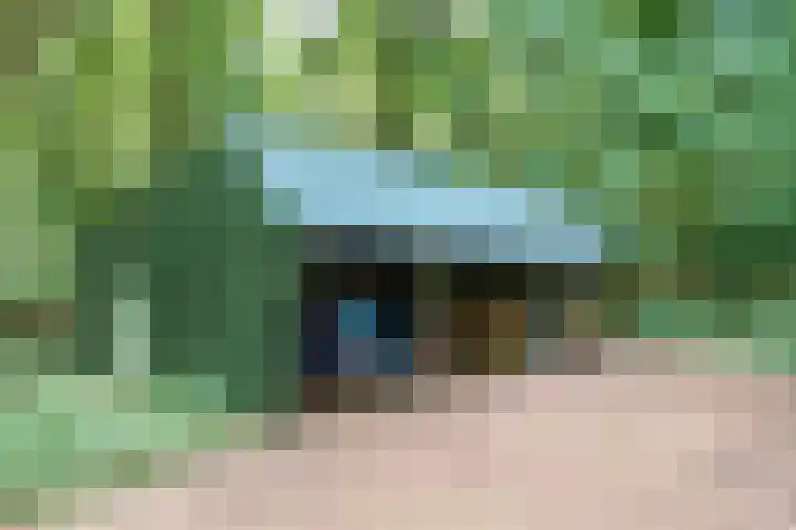 Hamveld 3 Wijster thumbnail 66