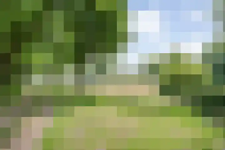 Hamveld 3 Wijster thumbnail 67