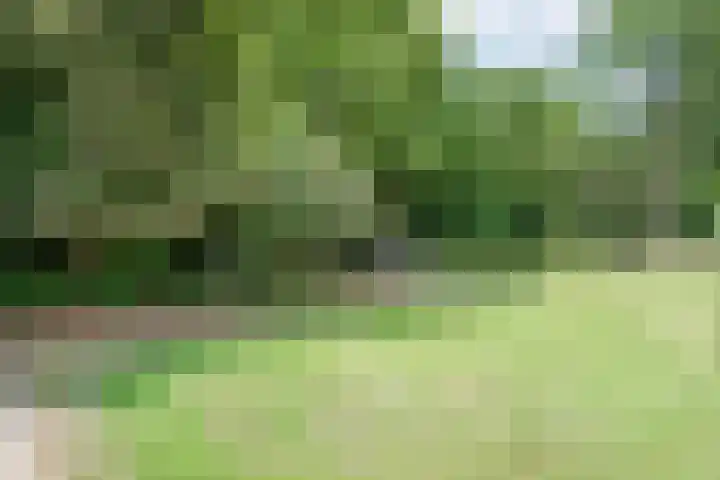 Hamveld 3 Wijster thumbnail 69