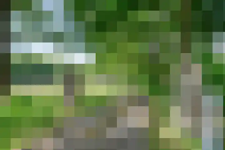 Hamveld 3 Wijster thumbnail 7