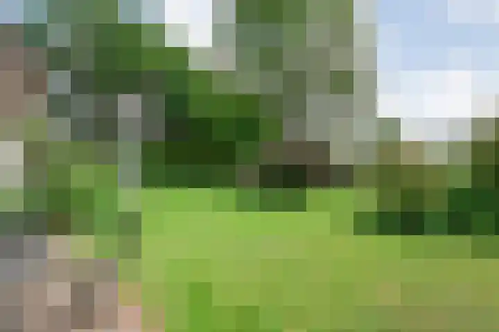Hamveld 3 Wijster thumbnail 70