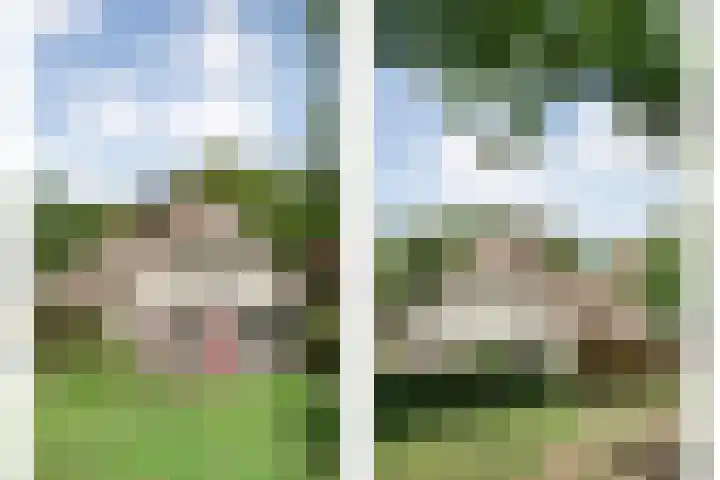 Hamveld 3 Wijster thumbnail 71