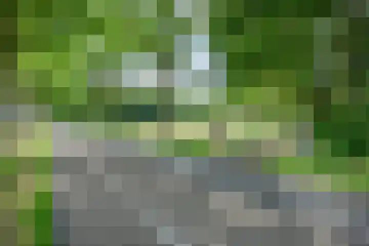 Hamveld 3 Wijster thumbnail 72
