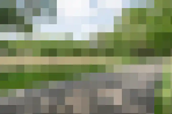 Hamveld 3 Wijster thumbnail 73