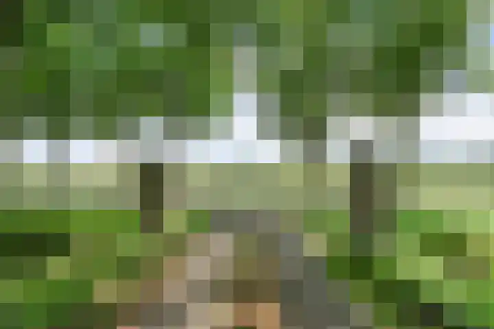 Hamveld 3 Wijster thumbnail 74