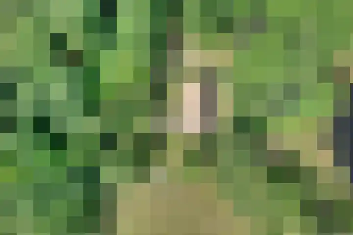 Hamveld 3 Wijster thumbnail 75