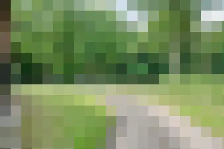 Hamveld 3 Wijster thumbnail 8