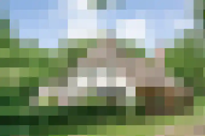 Hamveld 3 Wijster thumbnail 9