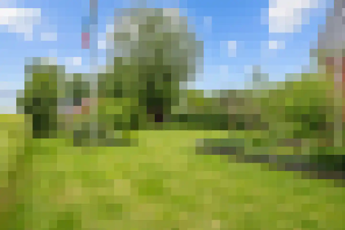 Hamweg 108 Harkstede thumbnail 10