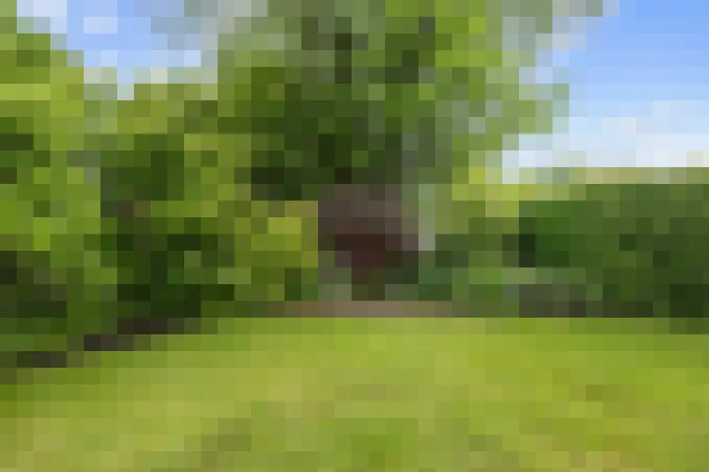 Hamweg 108 Harkstede thumbnail 6
