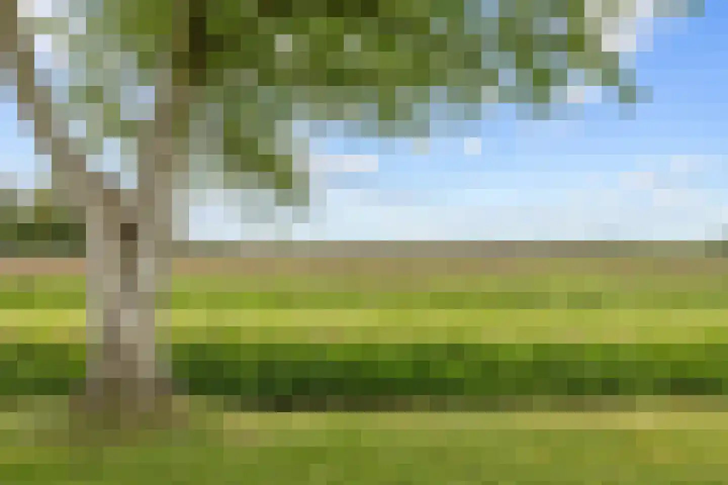 Hamweg 108 Harkstede thumbnail 61