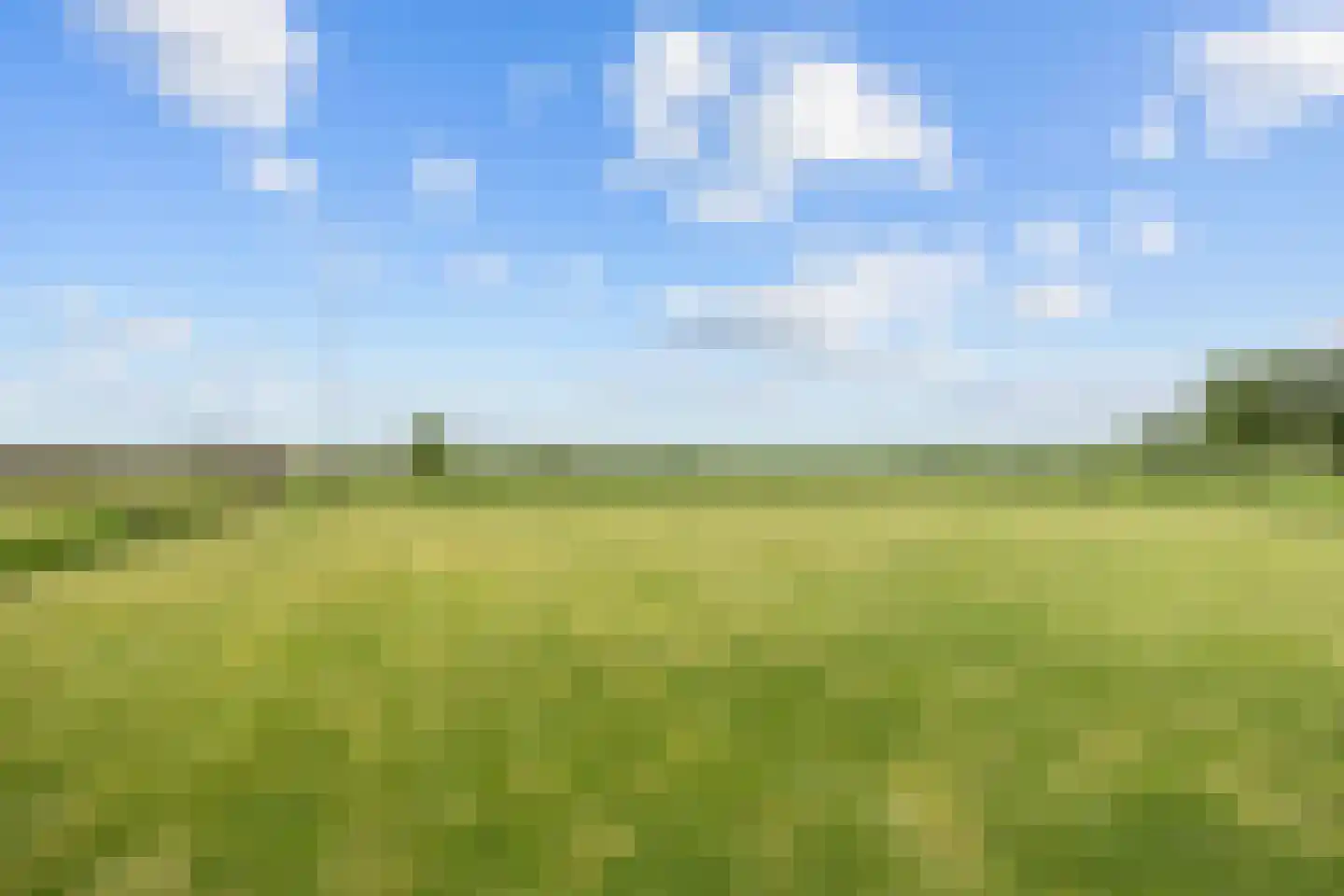 Hamweg 108 Harkstede thumbnail 62