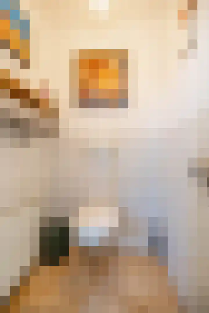 Hamweg 120 Harkstede thumbnail 27