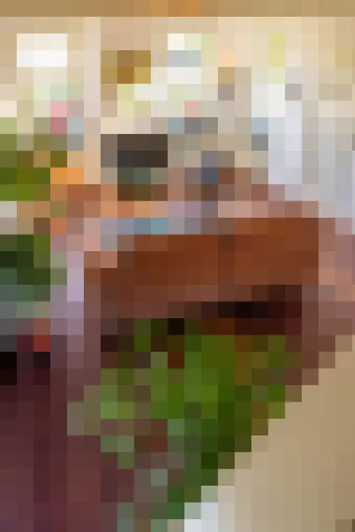 Hamweg 120 Harkstede thumbnail 30