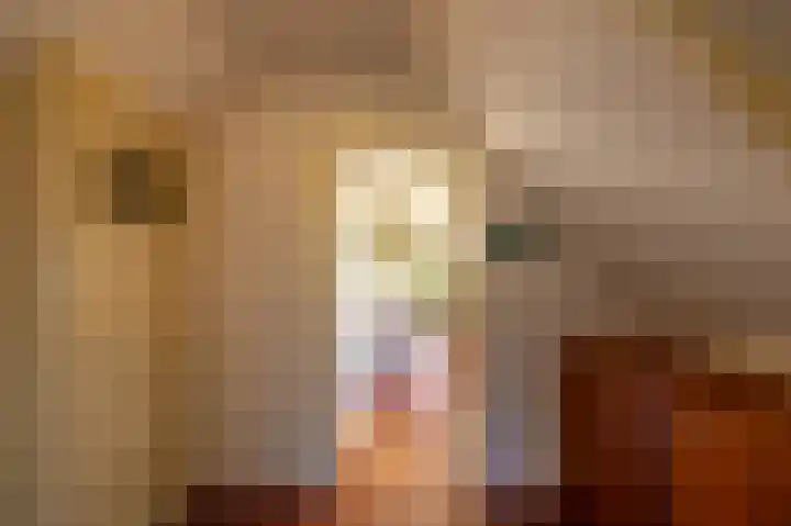 Hamweg 120 Harkstede thumbnail 31