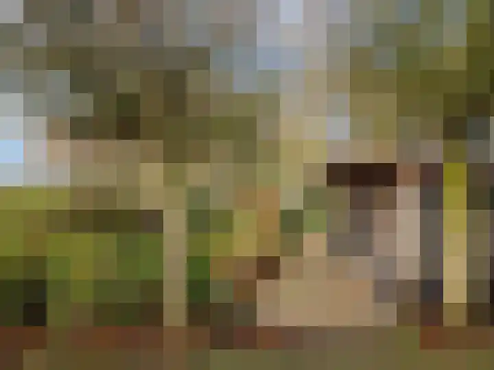 Hamweg 120 Harkstede thumbnail 39