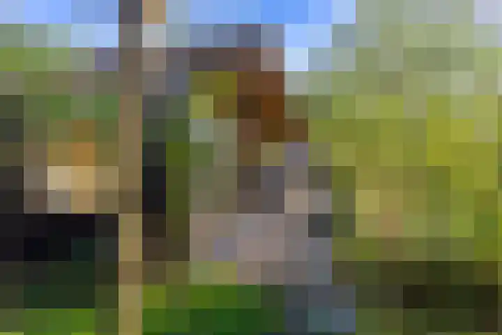 Hamweg 120 Harkstede thumbnail 41