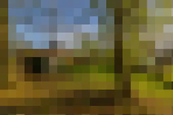 Hamweg 120 Harkstede thumbnail 48