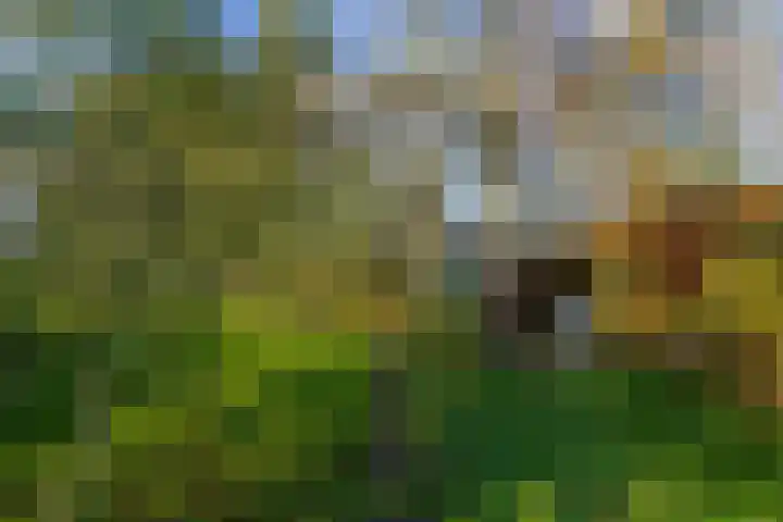 Hamweg 120 Harkstede thumbnail 49