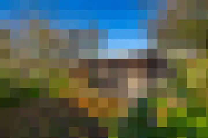 Hamweg 120 Harkstede thumbnail 50