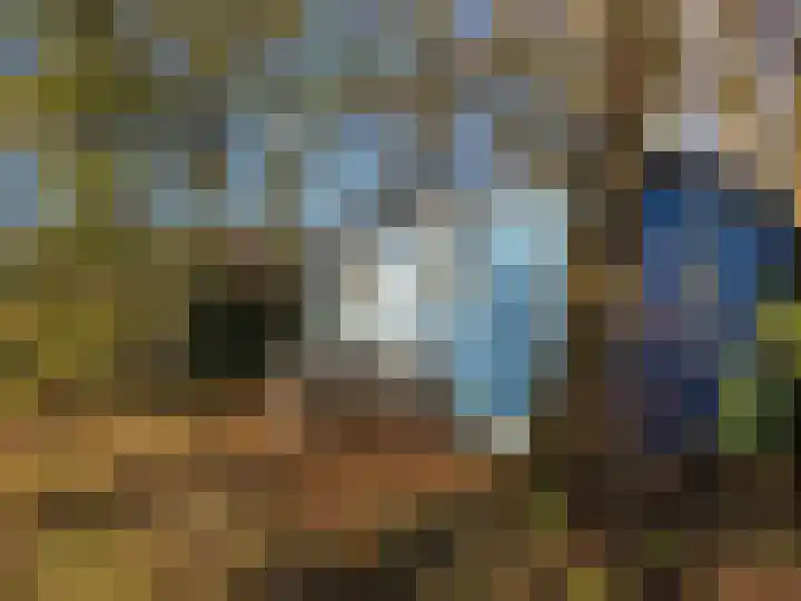 Hamweg 120 Harkstede thumbnail 51