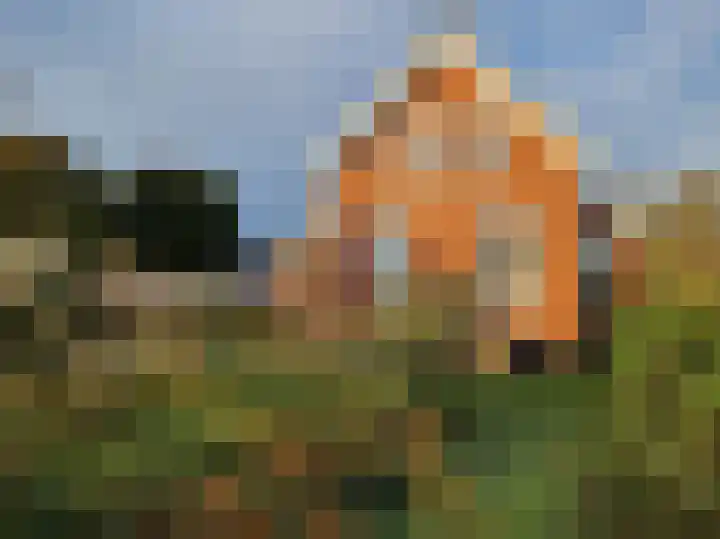 Hamweg 120 Harkstede thumbnail 54