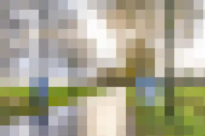 Hamweg 120 Harkstede thumbnail 59
