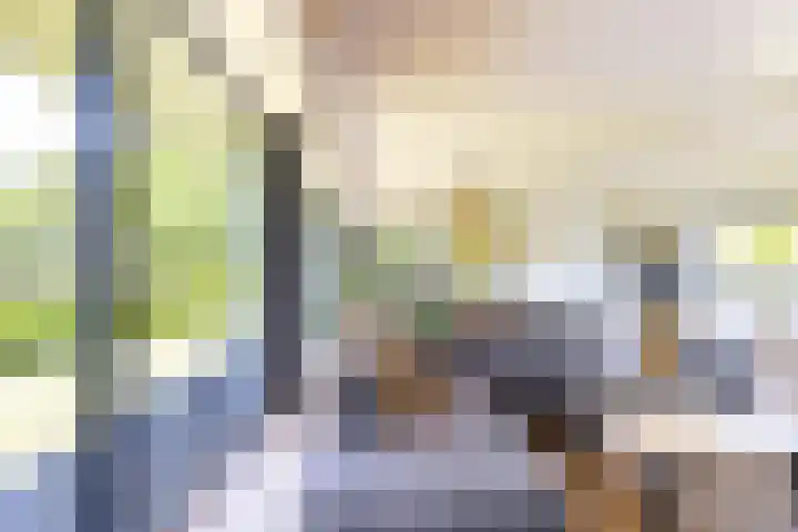 Hamweg 122 Harkstede thumbnail 30
