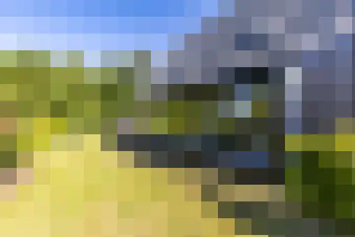 Hamweg 122 Harkstede thumbnail 67