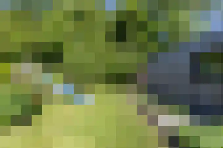 Hamweg 122 Harkstede thumbnail 69
