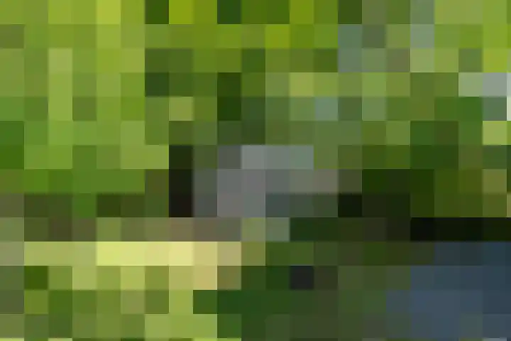 Hamweg 122 Harkstede thumbnail 70