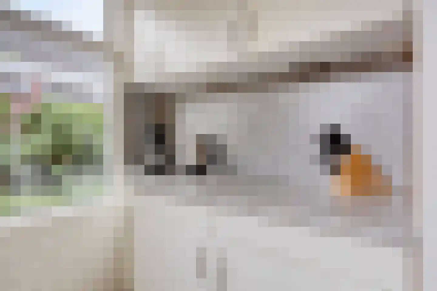 Hamweg 19 Harkstede thumbnail 25