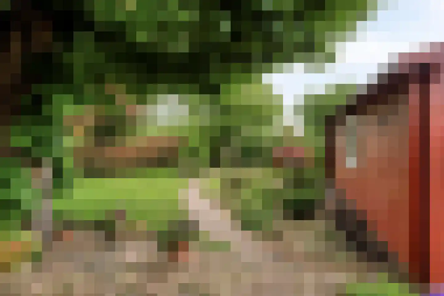 Hamweg 19 Harkstede thumbnail 44