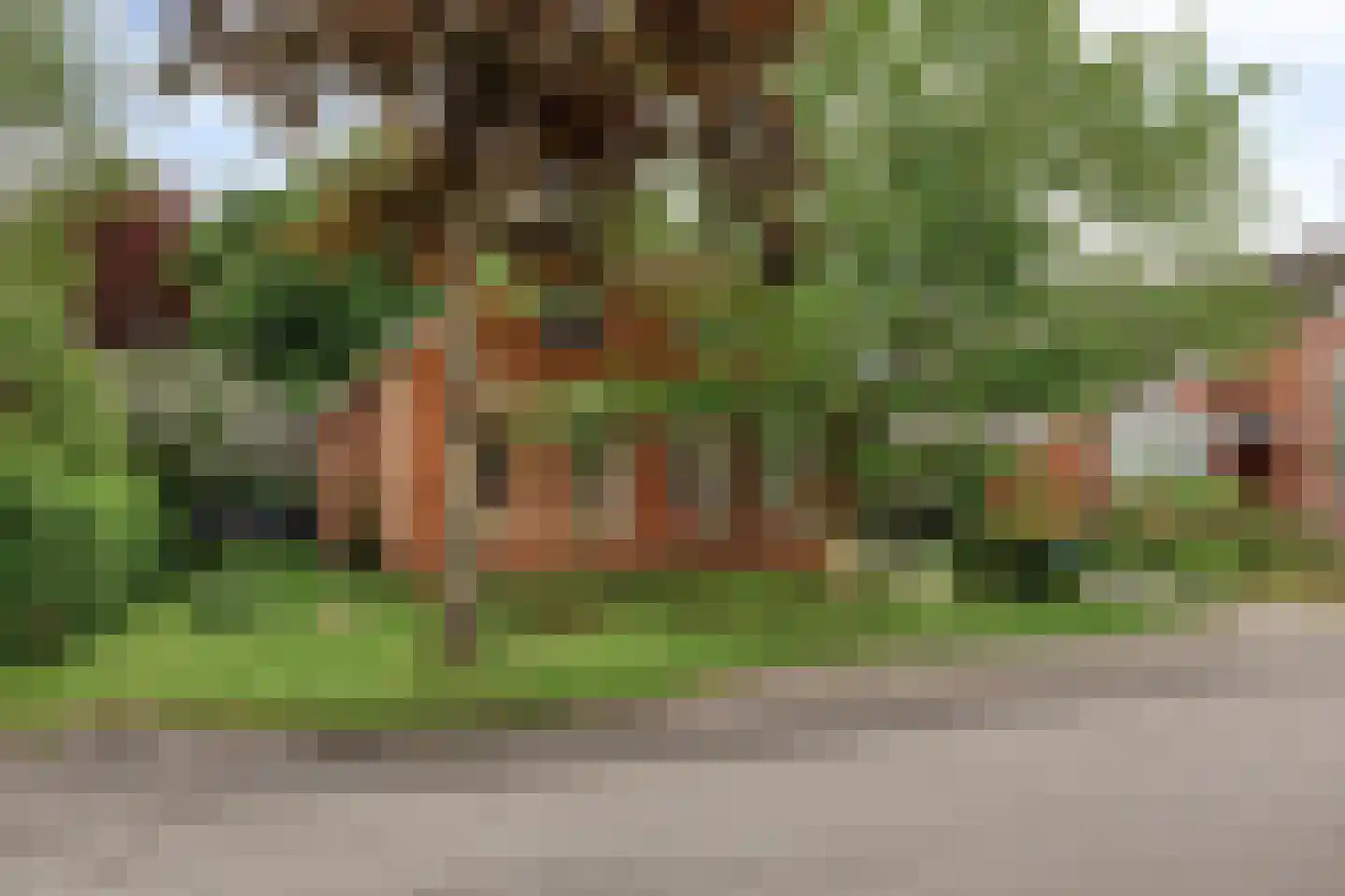 Hamweg 19 Harkstede thumbnail 6