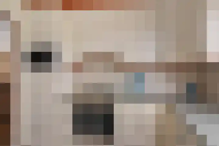 Hamwijck 45 Boskoop thumbnail 14