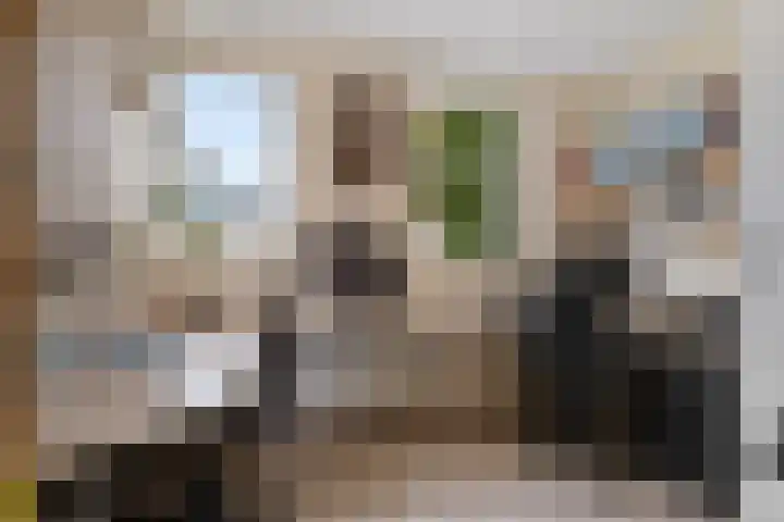 Hamwijck 45 Boskoop thumbnail 18