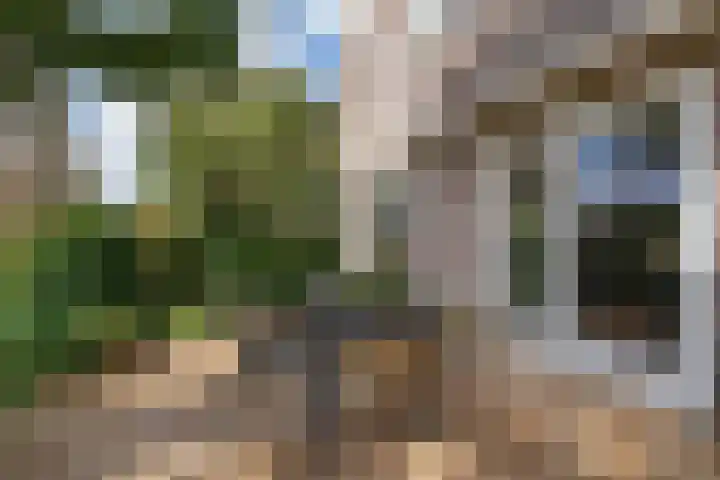 Hamwijck 45 Boskoop thumbnail 31