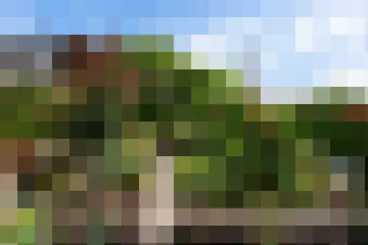 Hamwijck 45 Boskoop thumbnail 32