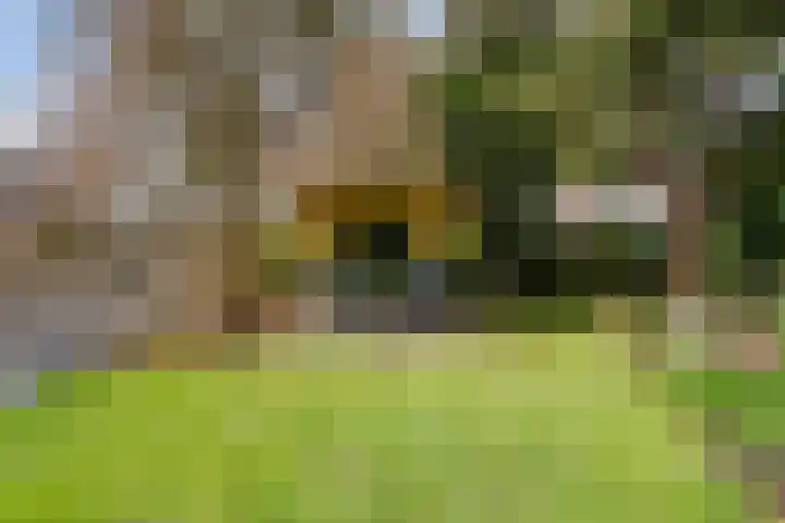 Hamwijck 45 Boskoop thumbnail 33