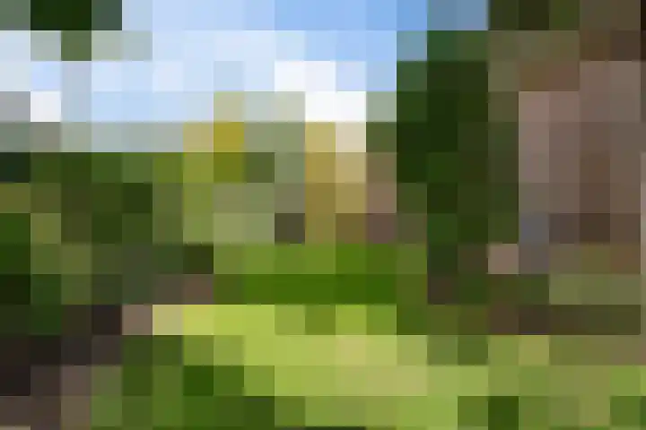 Hamwijck 45 Boskoop thumbnail 34
