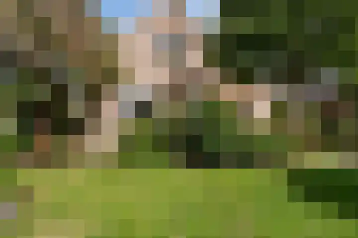 Hamwijck 45 Boskoop thumbnail 35