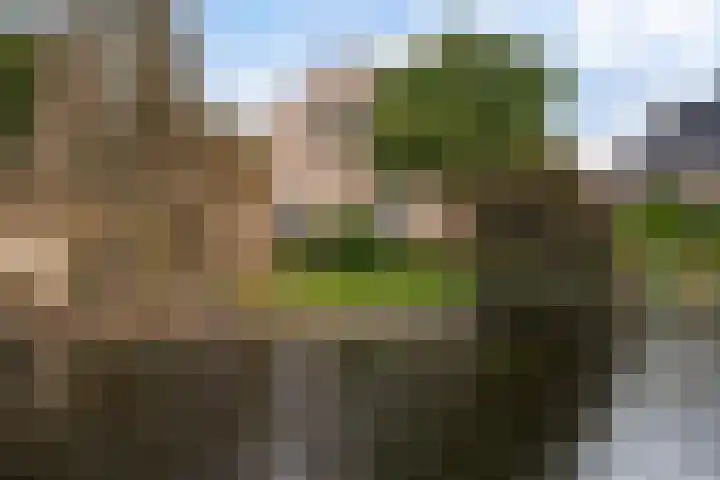 Hamwijck 45 Boskoop thumbnail 37